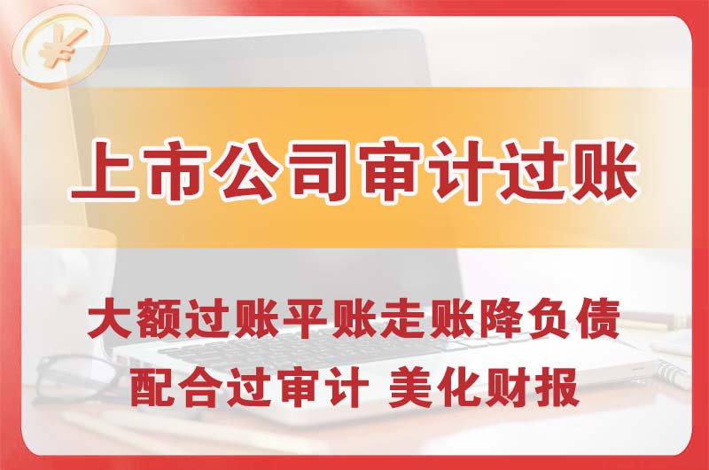 湾里上市公司审计过账